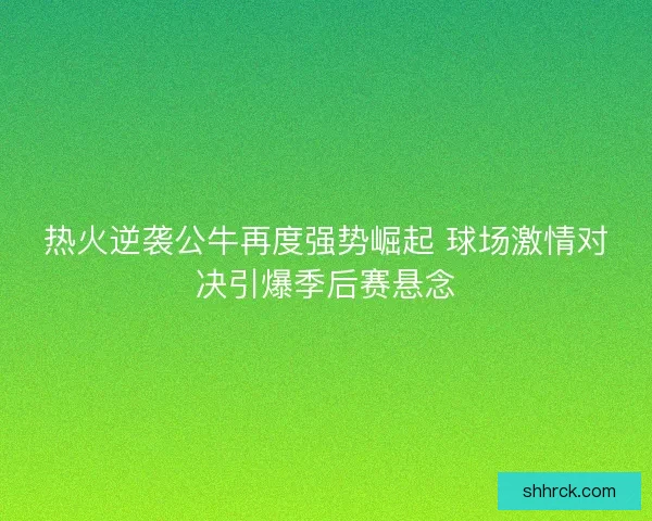 热火逆袭公牛再度强势崛起 球场激情对决引爆季后赛悬念