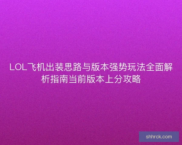 LOL飞机出装思路与版本强势玩法全面解析指南当前版本上分攻略