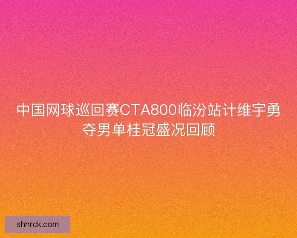 中国网球巡回赛CTA800临汾站计维宇勇夺男单桂冠盛况回顾