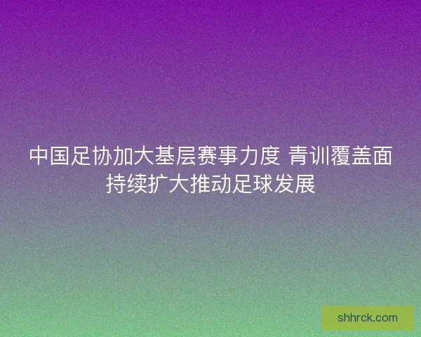 中国足协加大基层赛事力度 青训覆盖面持续扩大推动足球发展